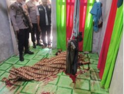 Warga Dusun Pinto Rimba, Dihebohkan Temuan Mayat Perempuan Korban Pembunuhan