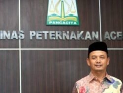 Dinas Peternakan Aceh Siapkan Pengusaha Lokal Meulaboh Jadi Pemasok Utama MBG